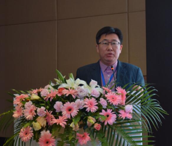 伟德betvlctor体育官网