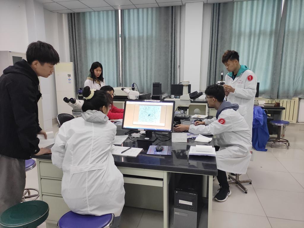 伟德betvlctor体育官网